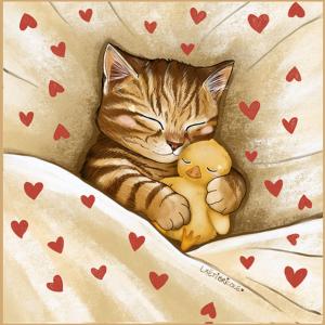 Coupon coussin le chat tigré