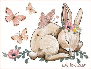 Transfert lapin endormi