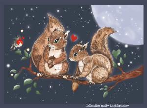 Coupon rabat les écureuils de nuit