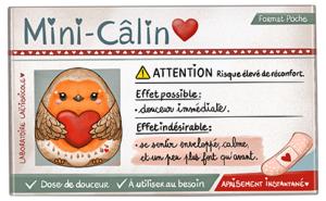 Transfert boite à médicaments pour doudou câlin rouge gorge