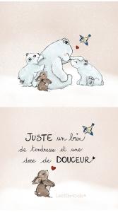 Coupon pochette ours polaires avec citation "Douceurs"