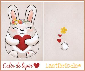 Mini câlin de lapin