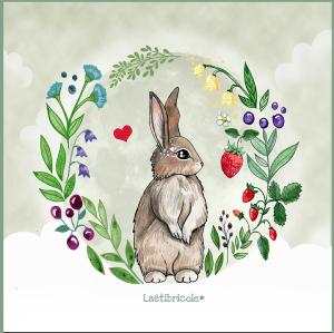 Coupon coussin le lapin et ses fraises