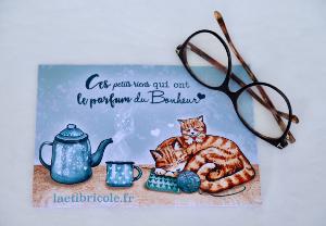 Lingette à lunettes les chats trico'thé